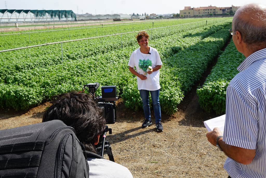 riprese video basilico genovese dop